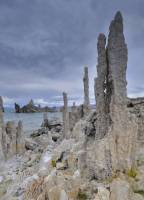 Tufa sur les rives de Mono Lake (California, USA)
